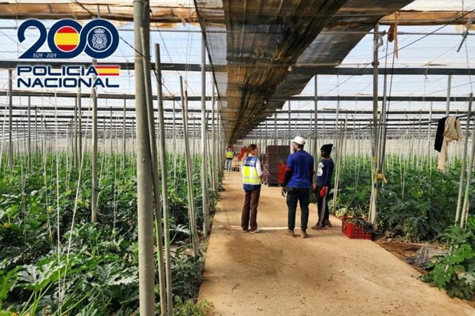 Detenidos una madre y su hijo acusados de explotar laboralmente a nueve extranjeros en Vícar