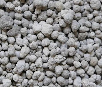 En Brasil coinciden respecto de