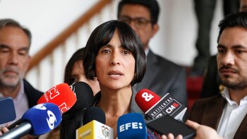 Ministra de Medio Ambiente explicó