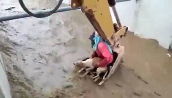 El momento en que la