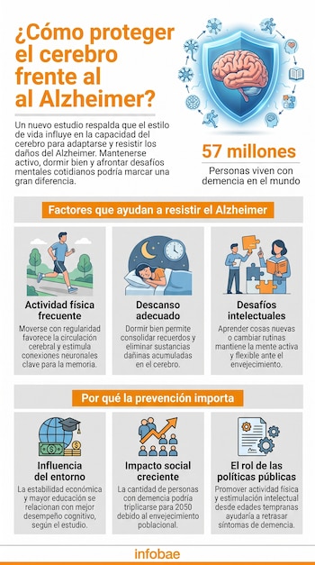 Infografía sobre cómo proteger el cerebro del Alzheimer: muestra un cerebro dentro de un escudo, íconos de ejercicio, sueño, estudio, entorno, impacto social y políticas públicas.
