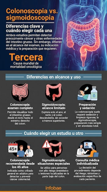 Infografía que compara colonoscopia y sigmoidoscopia. Muestra un cuerpo humano con intestinos, iconos de procedimientos médicos y texto explicativo sobre su alcance y uso.
