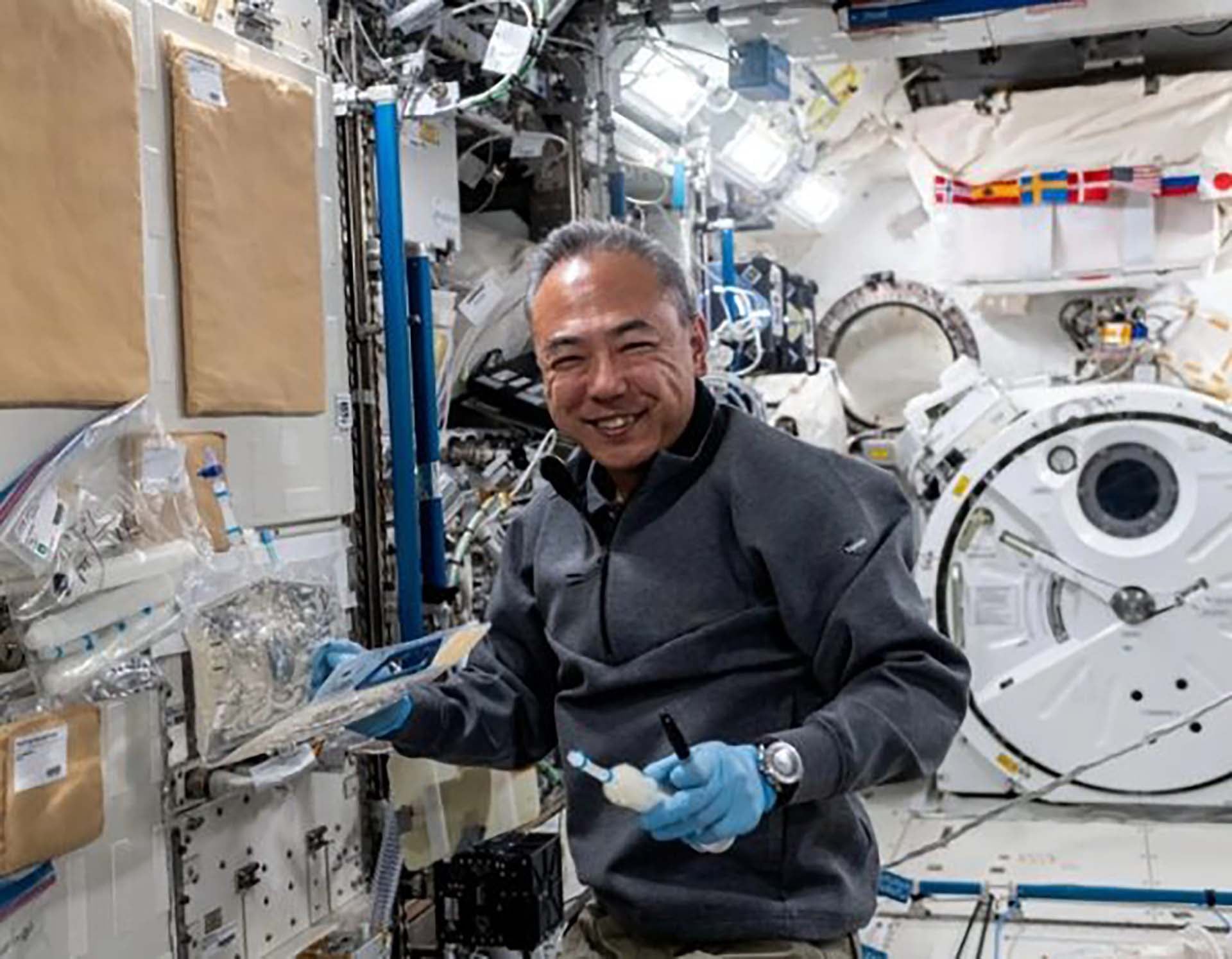 El espacio surge como un laboratorio extremo donde procesos asociados a enfermedades humanas se manifiestan de forma acelerada a escala celular (NASA)