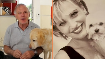 De los perros guía jubilados