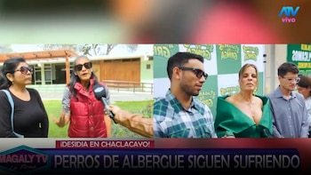 Animalistas responden a Alejandra Baigorria tras acusación de interés político: “No es política, es cuestión de humanidad”