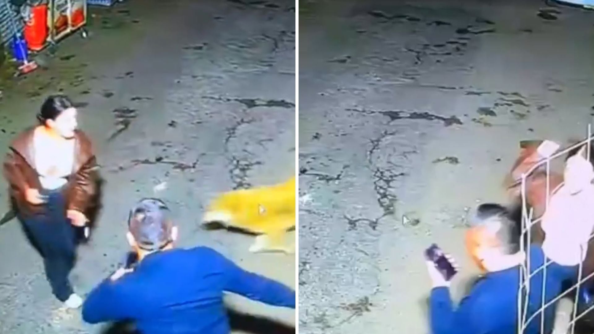 Santiago Pardo negó haber agredido a Hasli Jáuregui tras la difusión de imágenes de seguridad - crédito @ColombiaOscura/X