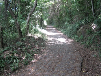 Los visitantes pueden recorrer caminos rurales rodeados de árboles nativos y especies de aves - crédito Gobernación de Cundinamarca/Alcaldía Municipal de Anapoima