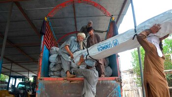 ACNUR está proporcionando artículos de