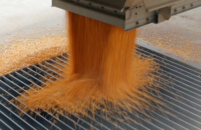 Las empresas del sector agroexportador declararon operaciones con un aumento de 33% en comparación con un año antes (Foto: Reuters)