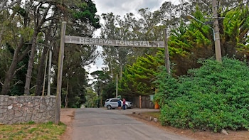 Bosque Peralta Ramos: Un barrio-reserva