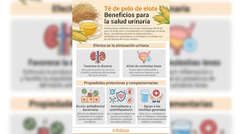 Infografía con una taza de té, mazorcas de maíz, esquemas del sistema urinario e iconos explicativos sobre propiedades medicinales.