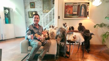 Greig recibió en su hogar a las mascotas necesitadas para honrar la memoria de su perro fallecido Steve Greig, perros, gatos, puercos, mascotas, animales, refugios animales