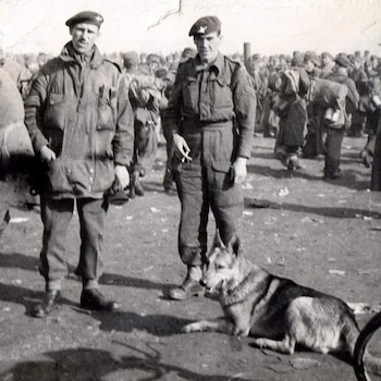 El canino regresó con su