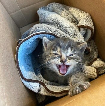 Richy sacó a flote su