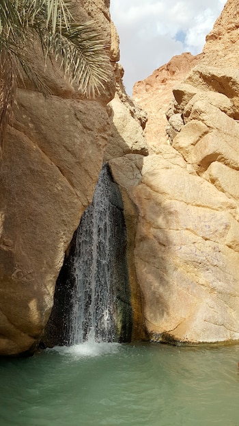 Una cascada cae entre paredes rocosas hacia una poza de agua verde, con una rama de palmera en la parte superior izquierda