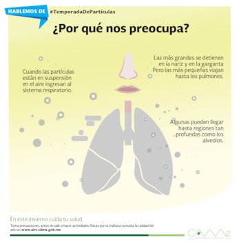 Los efectos en la salud