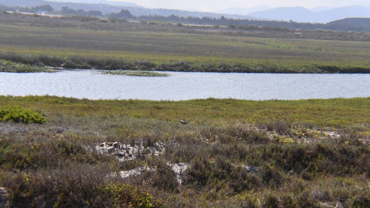 La Junta de Supervisores asignó USD 1,8 millones al diseño del proyecto y prevé financiar obras mayores con un impuesto local