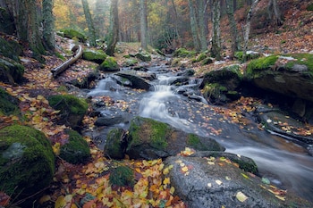 Senda del Arroyo del Sestil