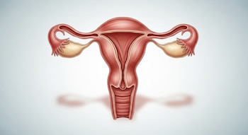 Ilustración médica de un útero femenino, trompas de Falopio y ovarios en tonos rojos y beige sobre un fondo degradado gris claro con sombra.