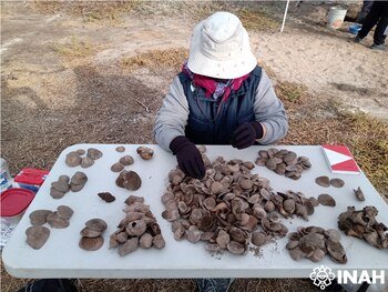 Los restos encontrados muestran sus