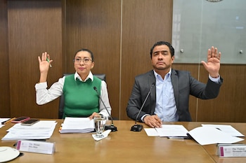 La iniciativa del PAN busca