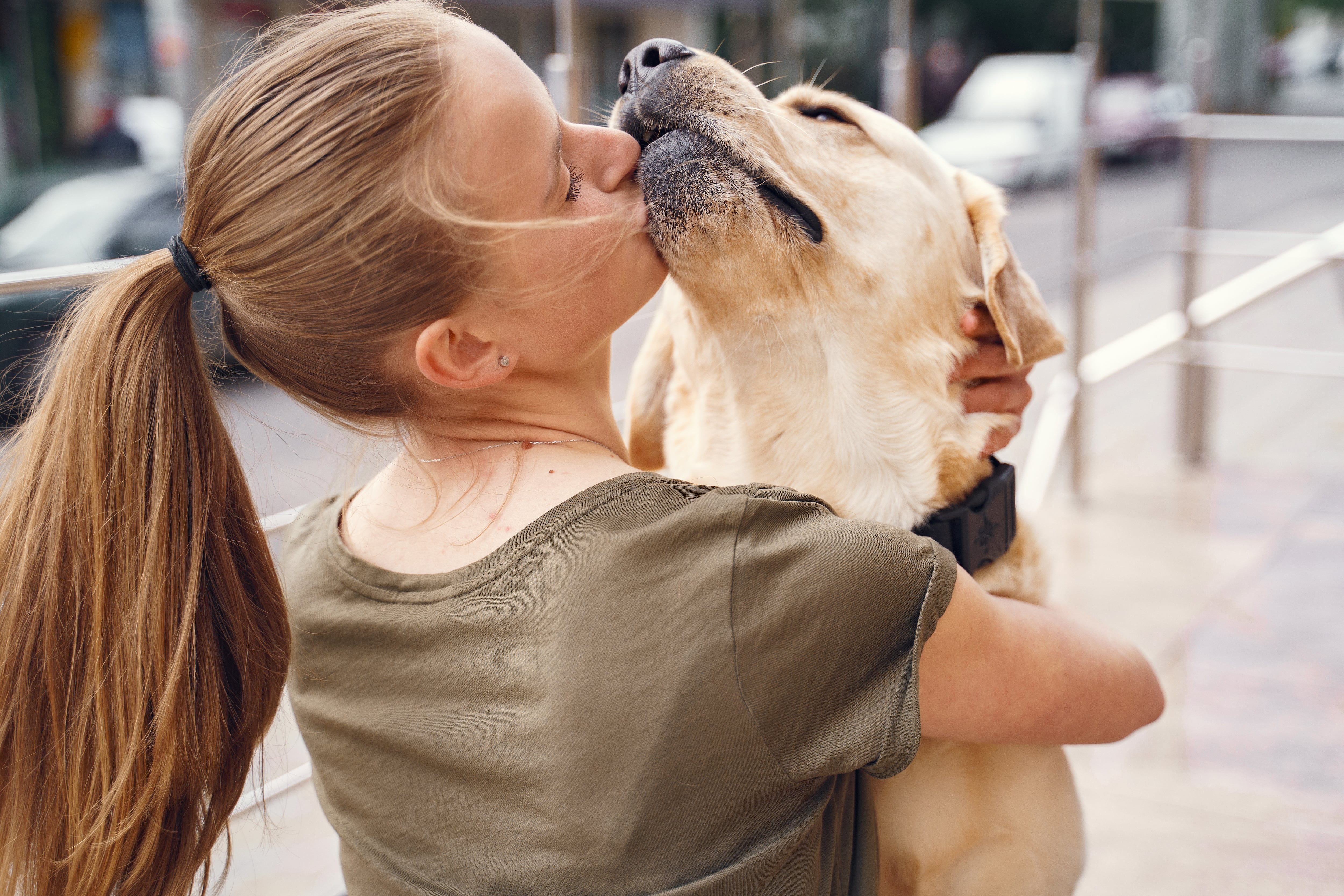 Las superbacterias pueden transmitirse entre humanos y sus mascotas