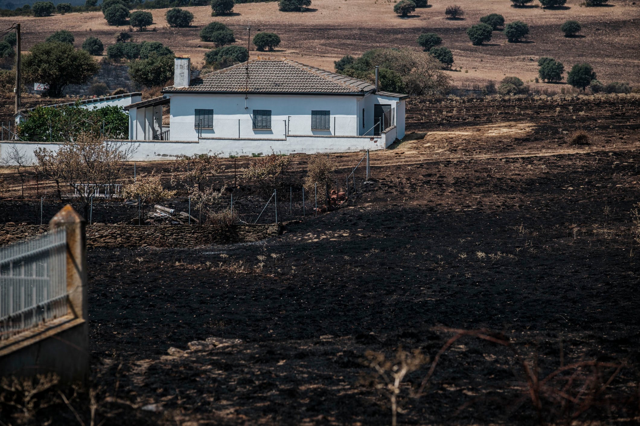 Finca calcinada por el fuego dos semanas después de declararse el incendio forestal en La Mierla (Guadalajara). (EFE/Nacho Izquierdo)