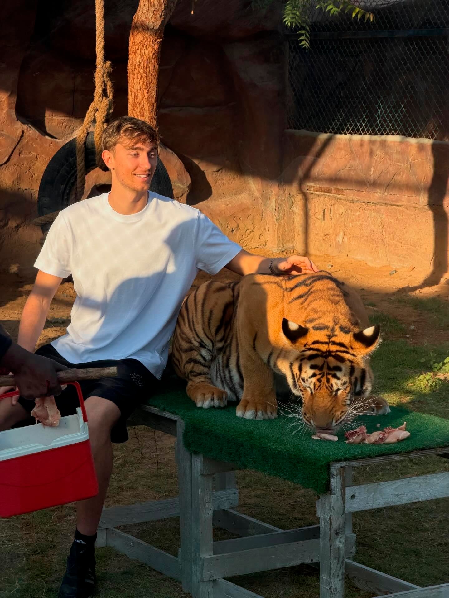 El defensor se sentó junto a un tigre