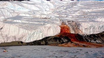 Descubren una nueva pista sobre el origen de las misteriosas Cataratas de Sangre de la Antártida