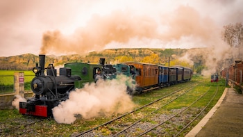 Tres trenes históricos en Madrid que no te puedes perder esta primavera