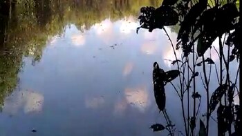 Derrame de petróleo en Loreto