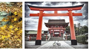 Un viaje fotográfico al Japón