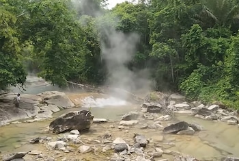 Según estudios recientes, por cada