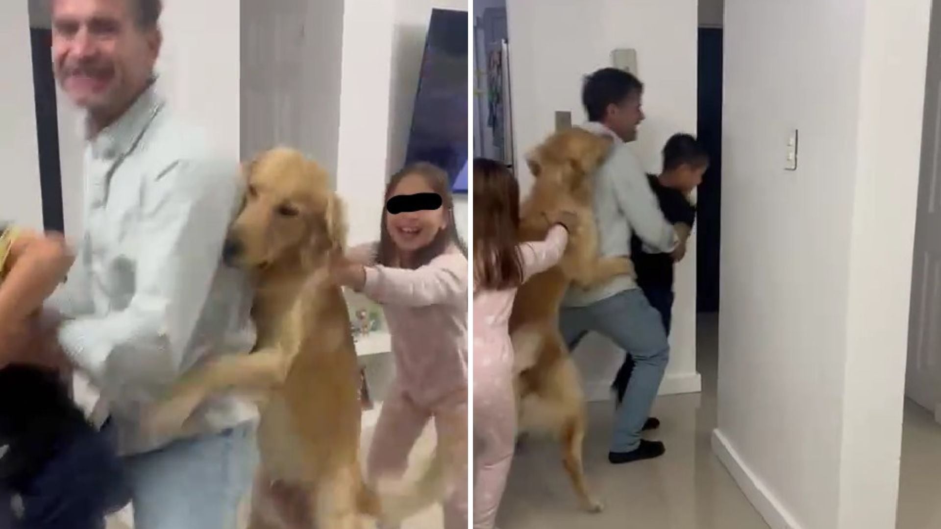 La naturalidad del perro fue clave para el éxito del clip en redes.