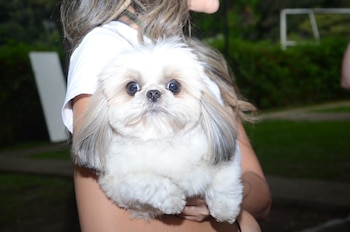 La Fundación Alianza de Vida