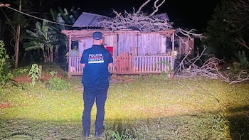 Dolor en Misiones: una bebé de tres meses murió por la caída de una rama seca de un árbol
