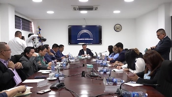 Cambios históricos colocan a diferentes sectores bajo marcos regulatorios nunca antes aplicados en la industria nacional y optimizan controles en exportación y documentación del grano local (Captura de pantalla de la transmisión en directo de la Comisión de Salud, Medio Ambiente)