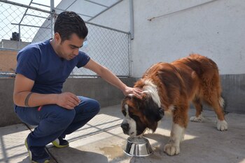 La negligencia de los propietarios