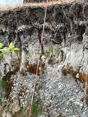 Investigadores de Chile, Estados Unidos