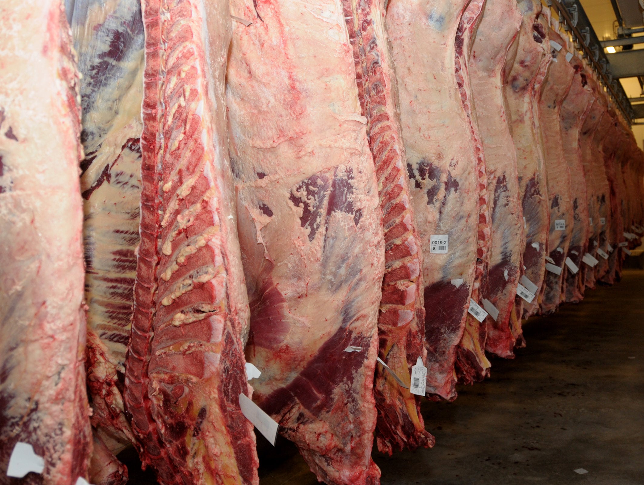 La producción de carne bovina rondó las 267.700 t en julio pasada, que implicó una suba de un 3% con respecto a junio, pero una caída de 8,1%, con respecto de julio de 2025(Revista Chacra)