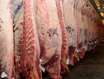Reses de carne vacuna