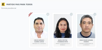 Lista de vicepresidentes en Perú 2026: estos son los acompañantes de cada candidato: Captura: ONPE.