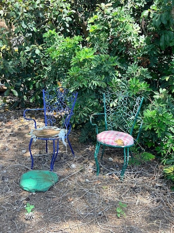 Dos sillas de jardín de metal ornamentadas, una azul y una verde con asiento rosa, sobre suelo de tierra con hojarasca y vegetación de fondo