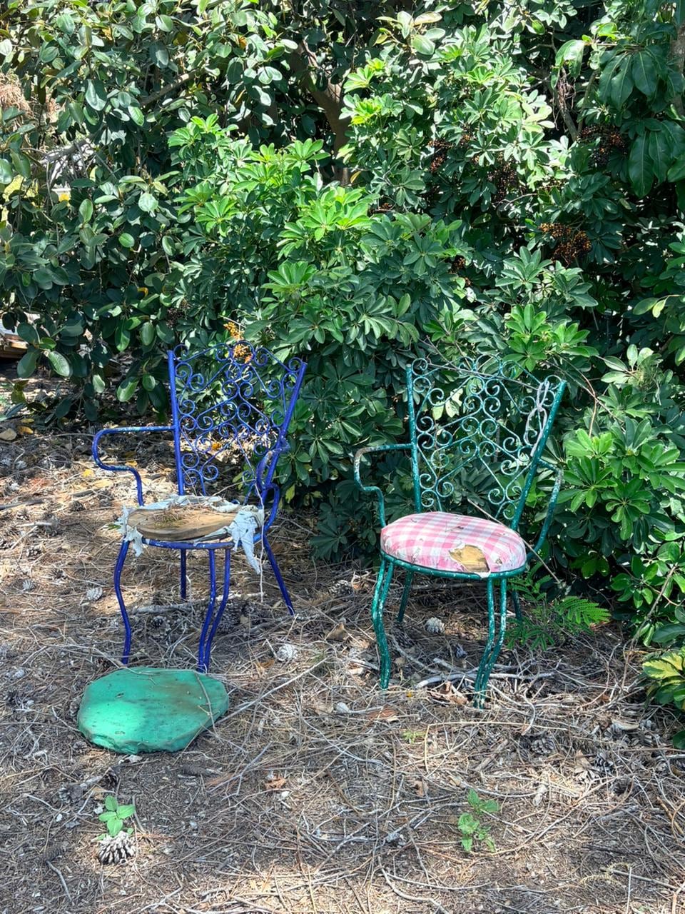 Dos sillas de jardín de metal, una azul y otra verde con cojín rosa, aparecen desgastadas por el tiempo en medio de la vegetación. (Infobae)