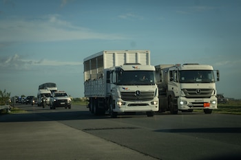 Florencia, Gordo y Flora camino