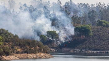 Tras los incendios del verano, España concentra casi la mitad de todas las hectáreas quemadas en la Unión Europea