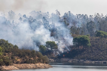 Incendio junto al embalse del Corumbel Bajo en La Palma del Condado, Huelva, a 12 de agosto de 2026. (EFE/Alberto Díaz)