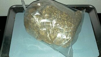 Semillas de marihuana (Foto: Guardia