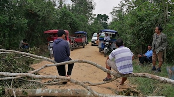 Se sugiere mantener áreas alrededor