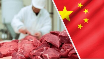 China representó el 74,8% de